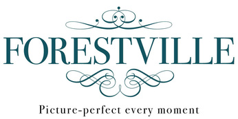Forestville Executive Condominium (EC) - Price Discounts, Balance Units Available, Free maintenance fees and internet, Star Buys, Preview Discounts - Contact Shantalle Goh | 91180521 | Desmond Tan | 92302153 / 96689996 | CEA No. R009634F