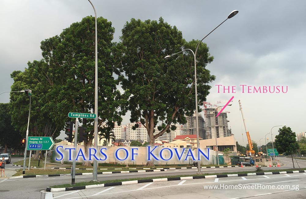 Stars of Kovan, short walking distance to Kovan MRT Heartland Mall